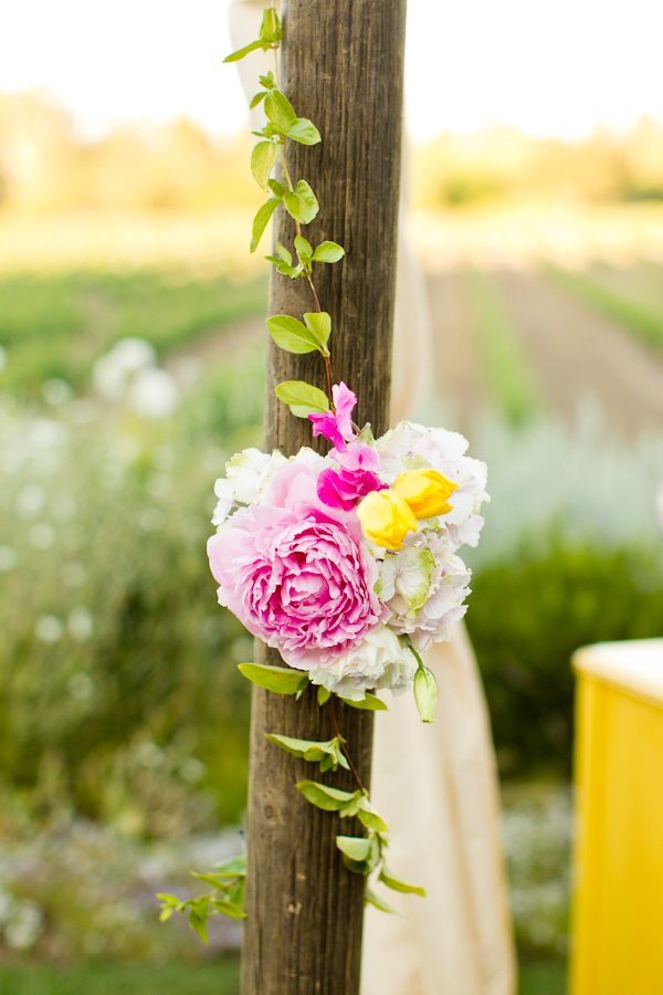 vintage-vineyard-wedding-ideas