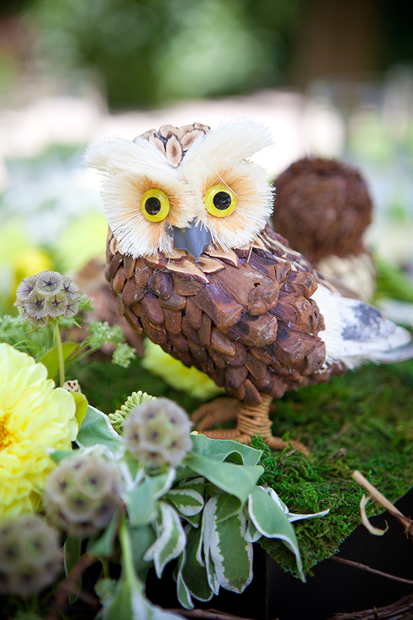 birds-of-prey-wedding