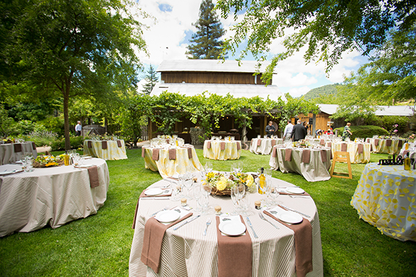 birds-of-prey-wedding
