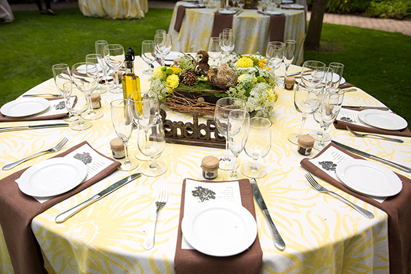 birds-of-prey-wedding