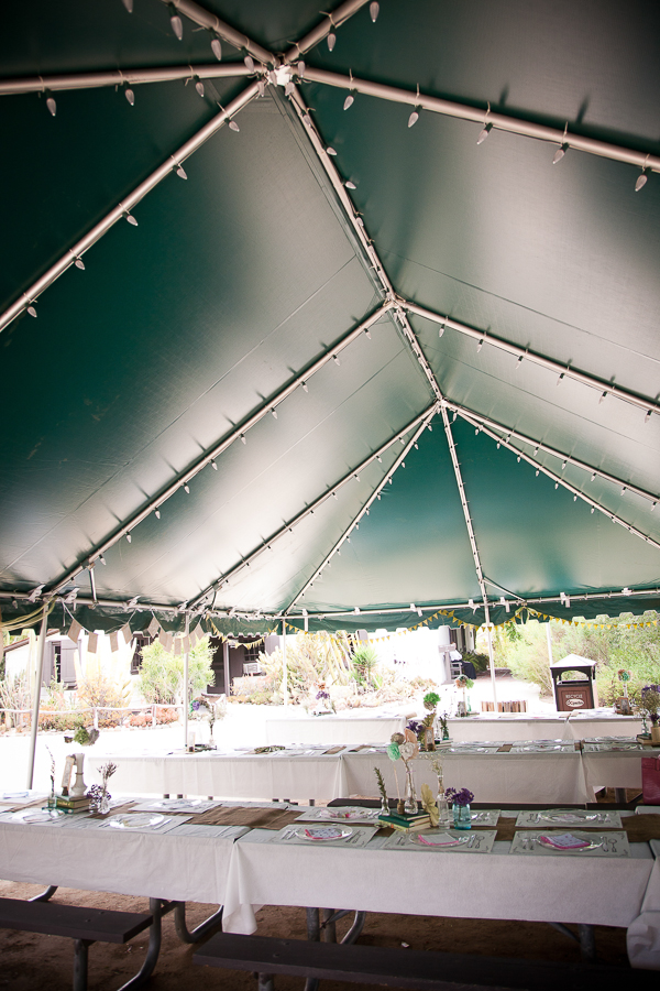 book-inspired-outdoor-wedding