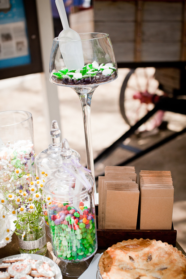 book-inspired-outdoor-wedding