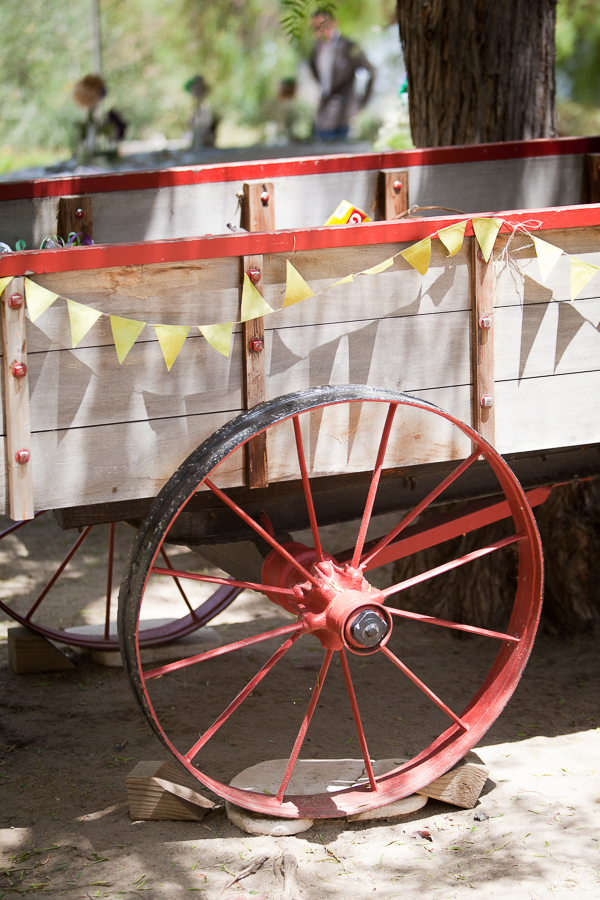 book-inspired-outdoor-wedding