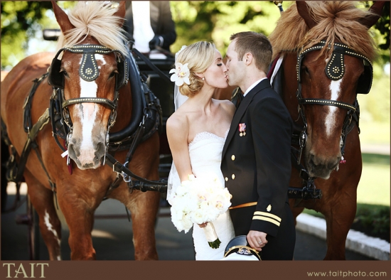 Horse Drawn Carriage for wedding