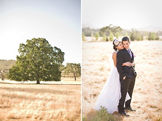 Bride and groom embrace in a golden field landscape