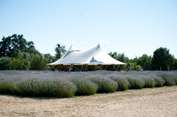 destination-napa-wedding-at-bear-flag