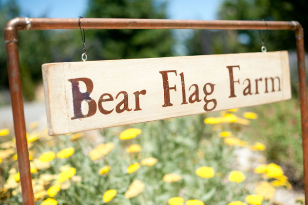 destination-napa-wedding-at-bear-flag