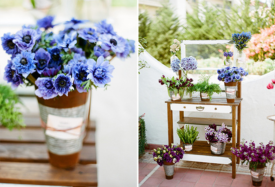 Blue anemones in bucket and flower display on table