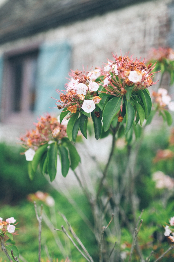 diy-wedding-at-renbrook-school