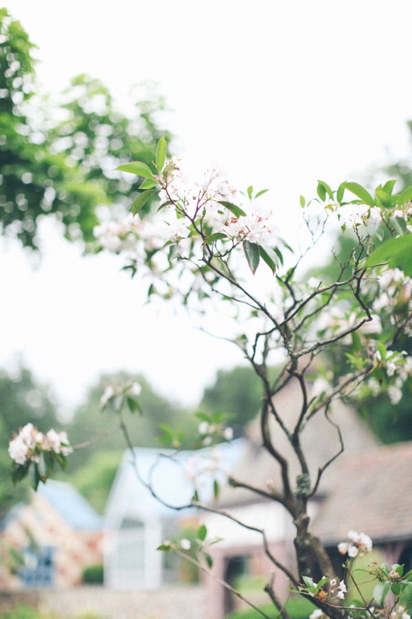 diy-wedding-at-renbrook-school