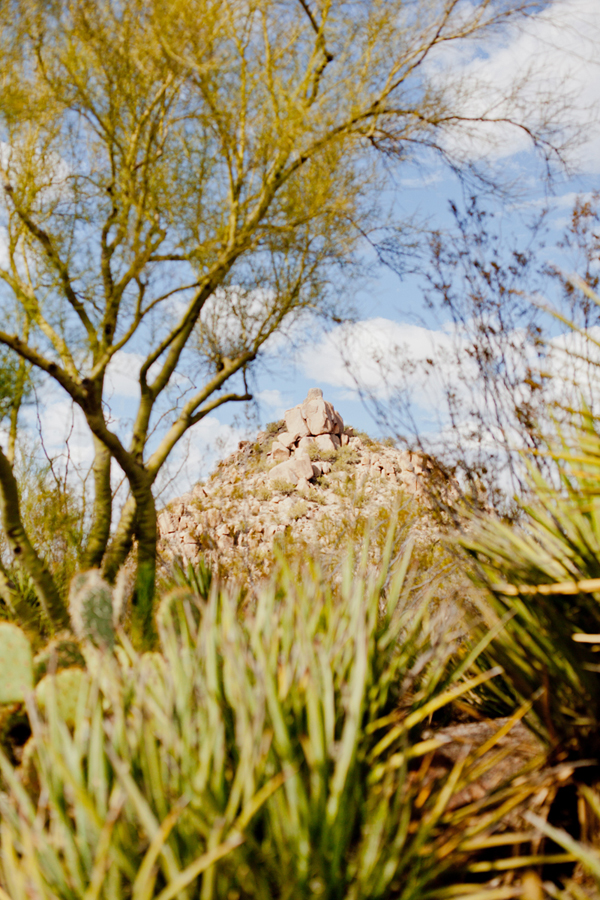 enchanting-gold-desert-wedding