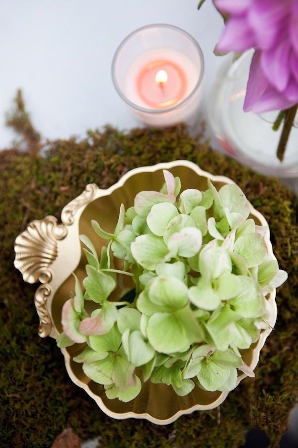 oak-canyon-nature-center-wedding
