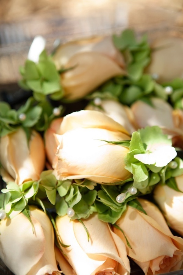 oak-canyon-nature-center-wedding