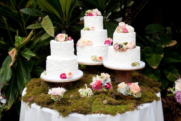 oak-canyon-nature-center-wedding