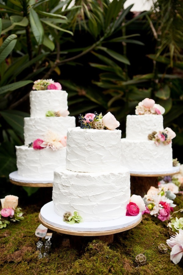 oak-canyon-nature-center-wedding