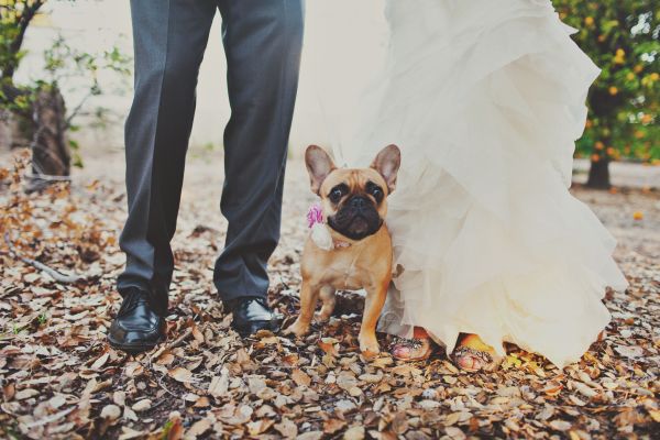 rustic-beach-to-barn-wedding
