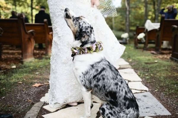 rustic-midwestern-destination-wedding