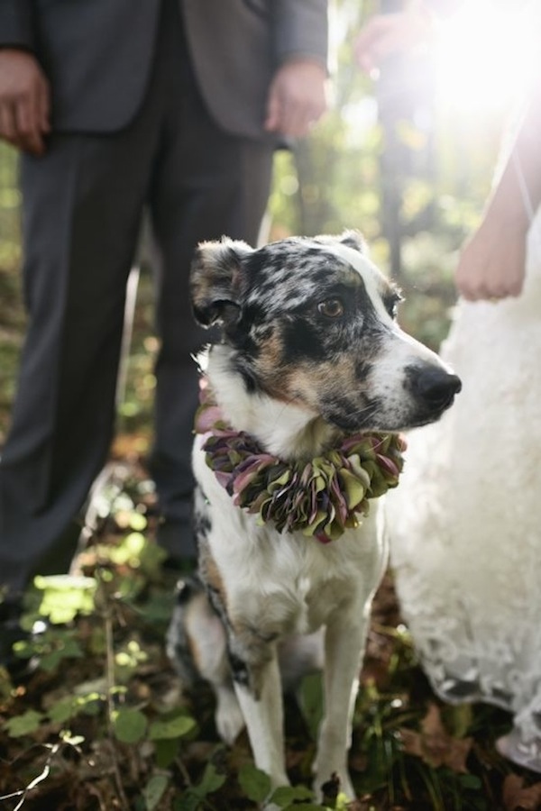 rustic-midwestern-destination-wedding