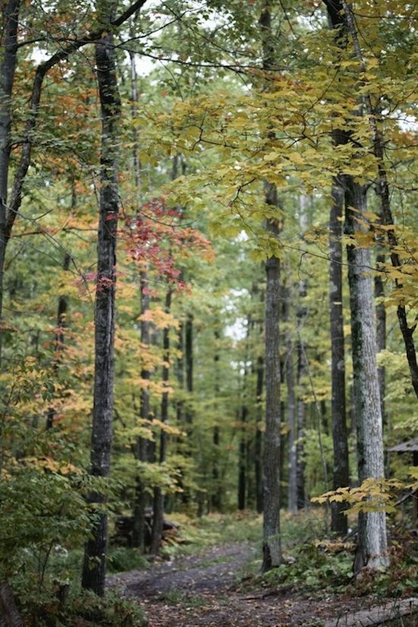 rustic-midwestern-destination-wedding