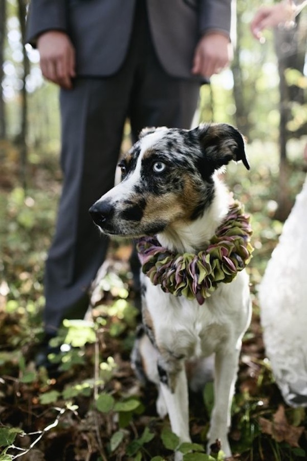 rustic-midwestern-destination-wedding