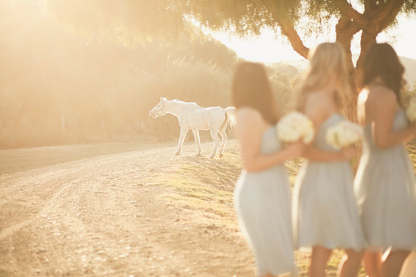 rustic-ranch-wedding-in-san-luis-obispo
