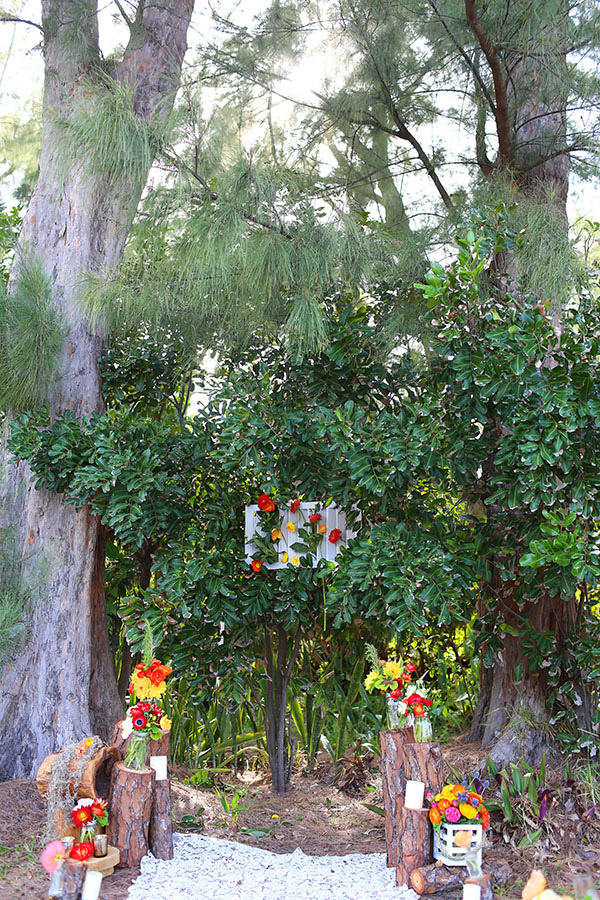 safe-haven-inspired-wedding