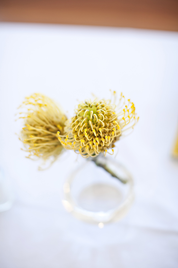 san-francisco-diy-gray-and-yellow