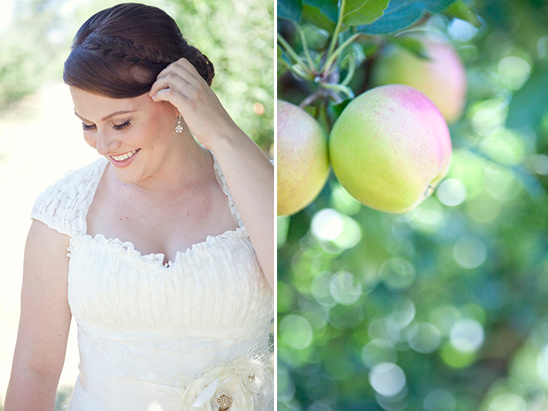 Bride in white dress and ripe apples on a tree branch