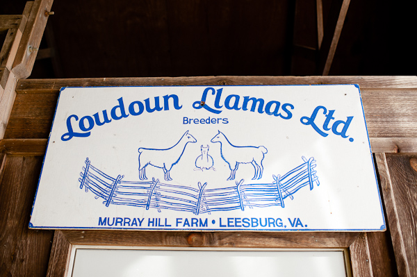 virginia-wedding-at-murray-hill