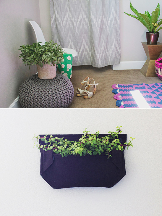 Indoor plants decorate a stylish room and wall planter