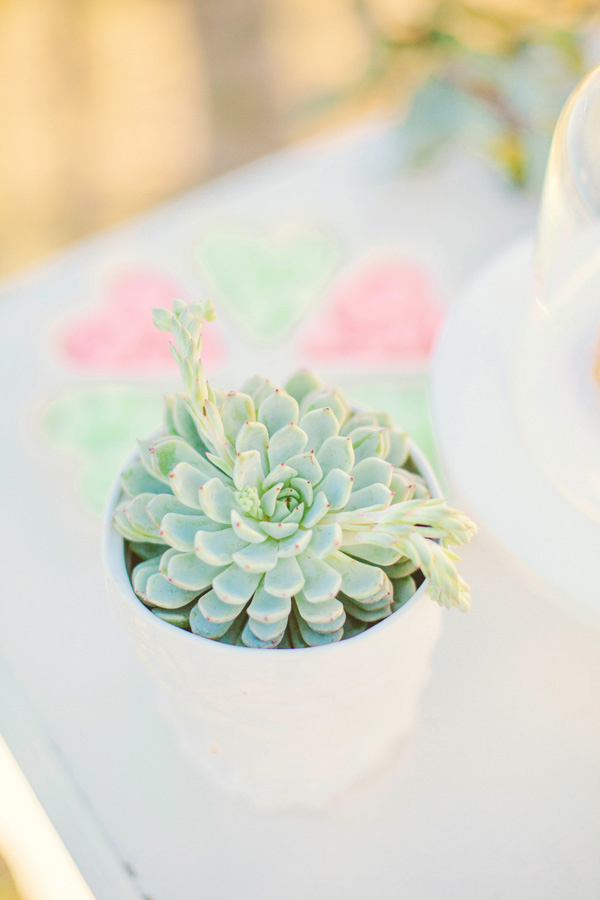 whimsical-coral-and-mint-wedding