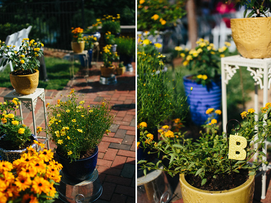 Yellow and blue potted flowers decorate outdoor event