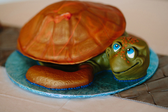 Turtle shaped cake, colorful and detailed