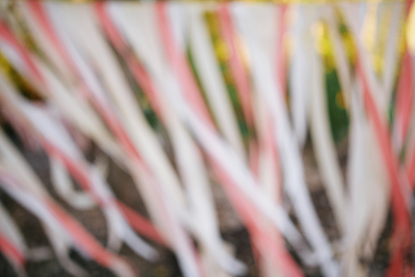 colorful-diy-backyard-wedding