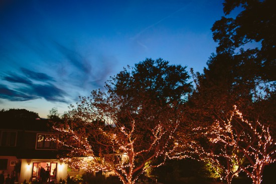 Twinkling fairy lights adorn trees at dusk