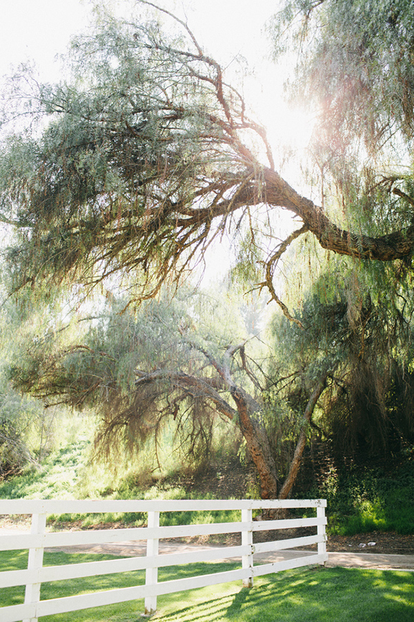 elegant-pink-and-gold-wedding-ideas