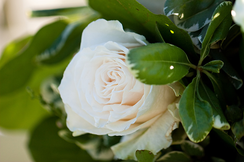 elegant-wedding-at-the-inn-at-rancho
