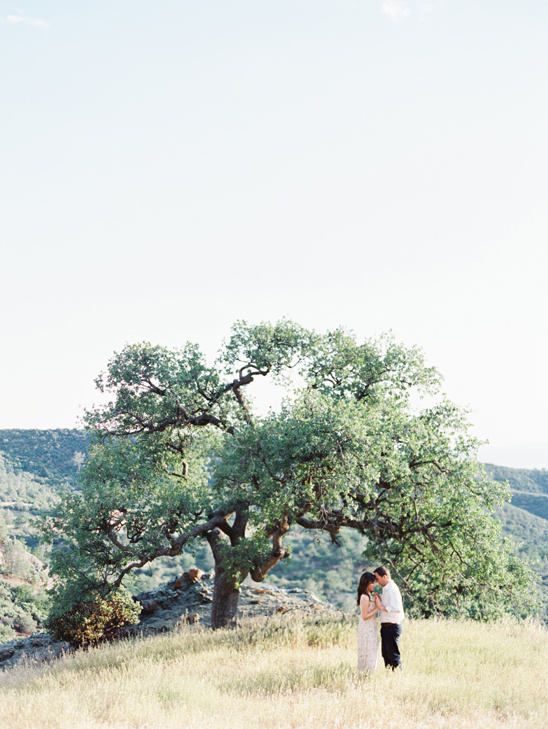 Couple under large tree, nature scene