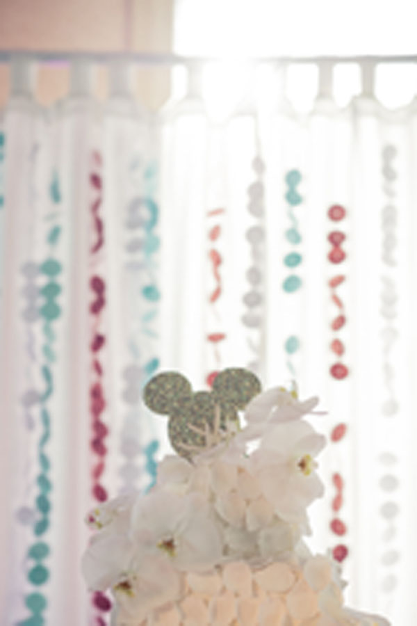 fairytale-disneyland-wedding