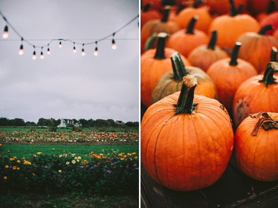 Autumn pumpkin patch scene with string lights