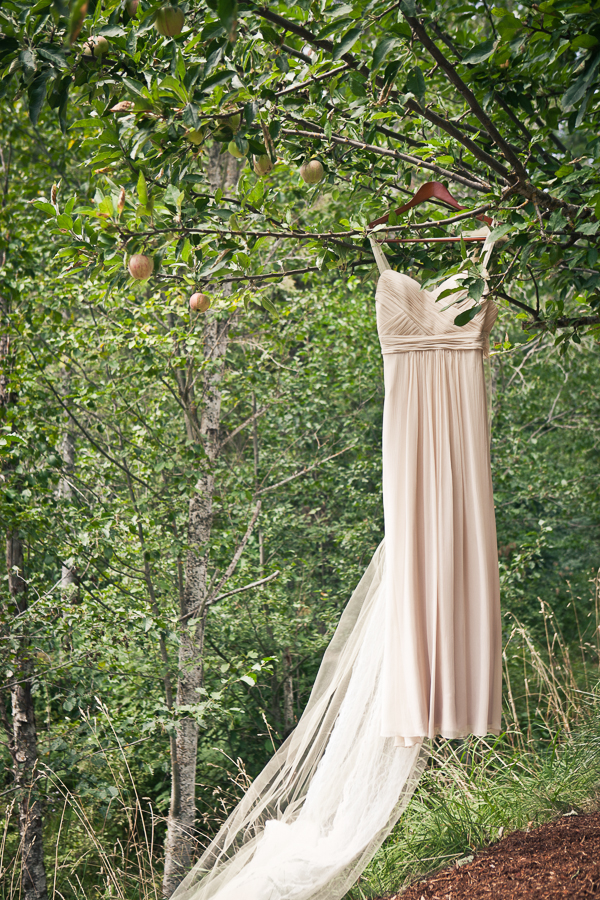 rustic-backyard-wedding-full-of