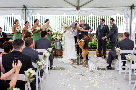 Bride and groom with their dog at an outdoor wedding ceremony