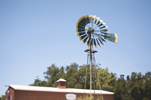 vintage-farm-wedding-at-the-condor-s