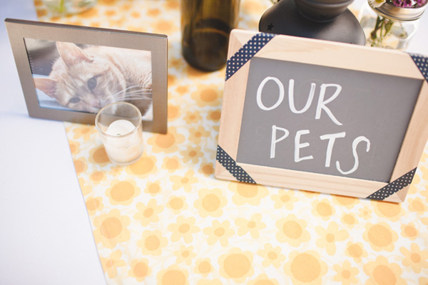 vintage-farm-wedding-at-the-condor-s