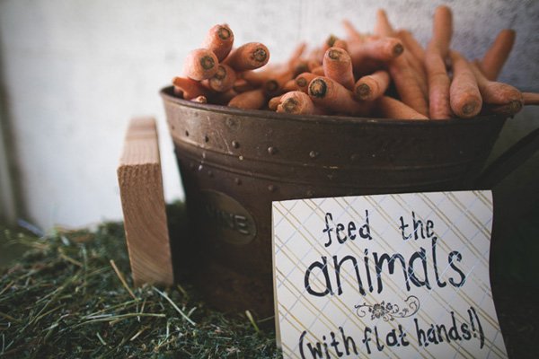 vintage-farm-wedding-at-the-condor-s