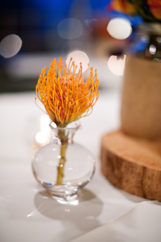 wintery-fall-wedding-at-wadley-farms