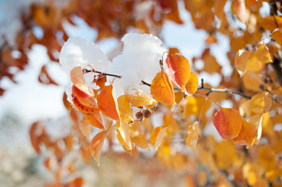 wintery-fall-wedding-at-wadley-farms