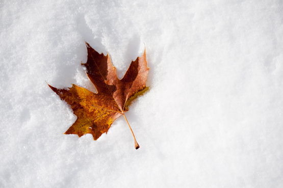 wintery-fall-wedding-at-wadley-farms