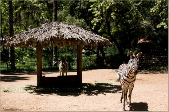Rancho Las Lomas Wedding Photographer Kevin Le Vu Photography Orange County-4