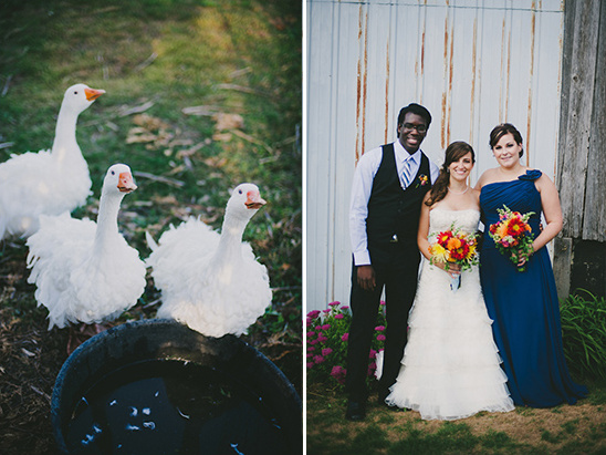 Wedding with geese and wedding party posing near a barn